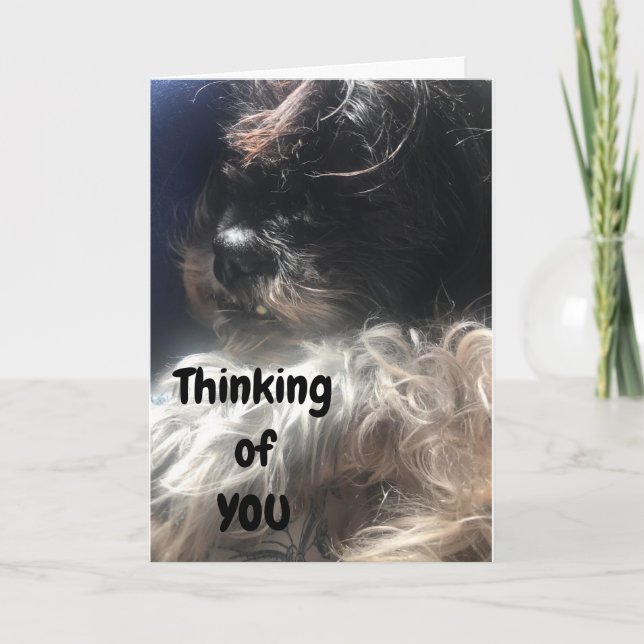 TARJETA ¡PENSANDO EN USTEDES COMO SIEMPRE LO HAGO! (Anverso)