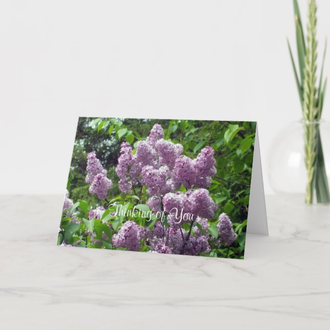Tarjeta Pensando en You-Lilac Bush (Anverso)
