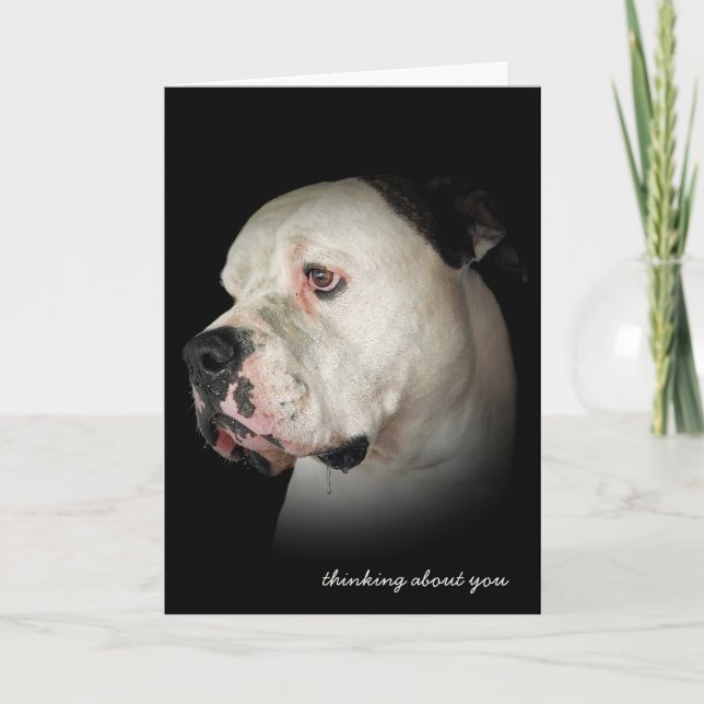 Tarjeta pensar en el Bulldog de la orgía (Anverso)