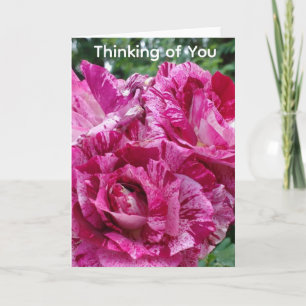 Tarjeta Pensar en ti Rosas variados