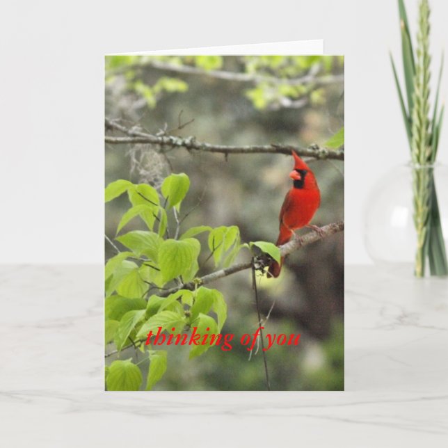 Tarjeta pensar en usted/ cardenal (Anverso)