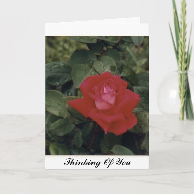 Tarjeta Pensar En Usted - Personalizado (Anverso)