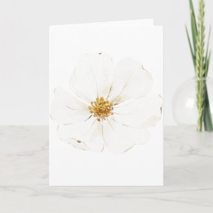 Tarjeta Peonía blanca pintada a mano (en blanco)