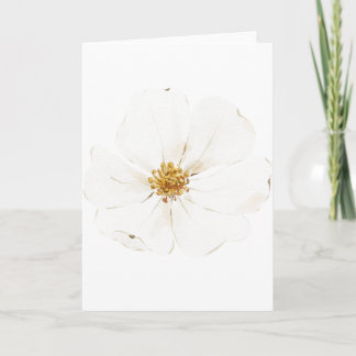 Tarjeta Peonía blanca pintada a mano (en blanco)