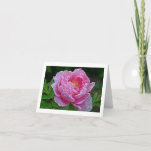 TARJETA "PEONÍA ROSA CARAMELO" (FOTOG)
