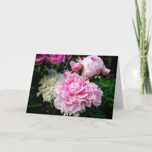 Tarjeta Peonias rosas y blancas