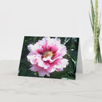 Tarjeta Peonies