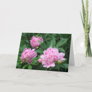 Tarjeta Peonies