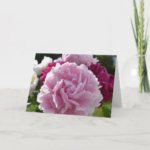 Tarjeta Peonies