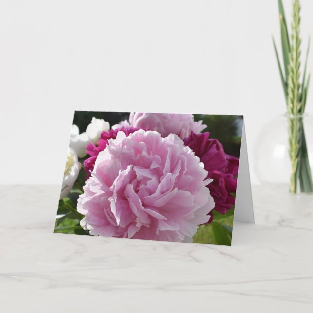 Tarjeta Peonies (Anverso)