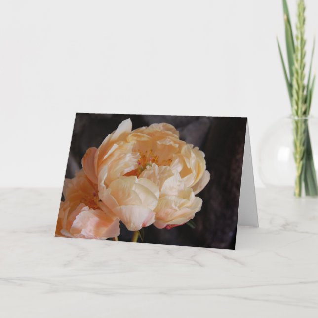 Tarjeta Peonies 6 (Anverso)