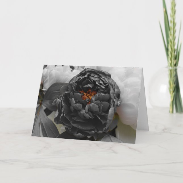 Tarjeta Peonies / Color aislado (Anverso)