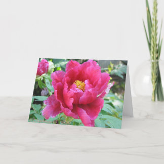 Tarjeta Peony