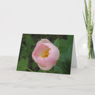 Tarjeta Peony