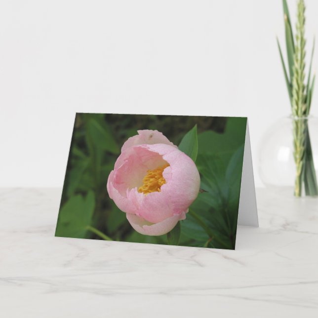Tarjeta Peony (Anverso)