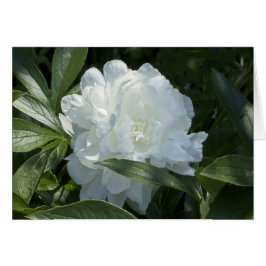 Tarjeta Peony