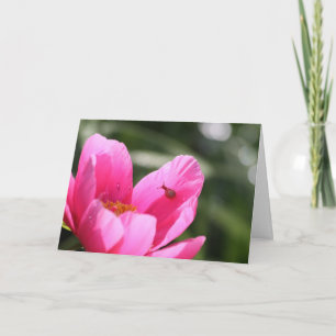Tarjeta Peony "Chameleon"