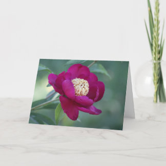 Tarjeta Peony "Danza de espada"