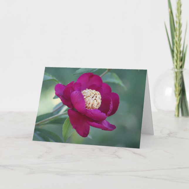 Tarjeta Peony "Danza de espada" (Anverso)