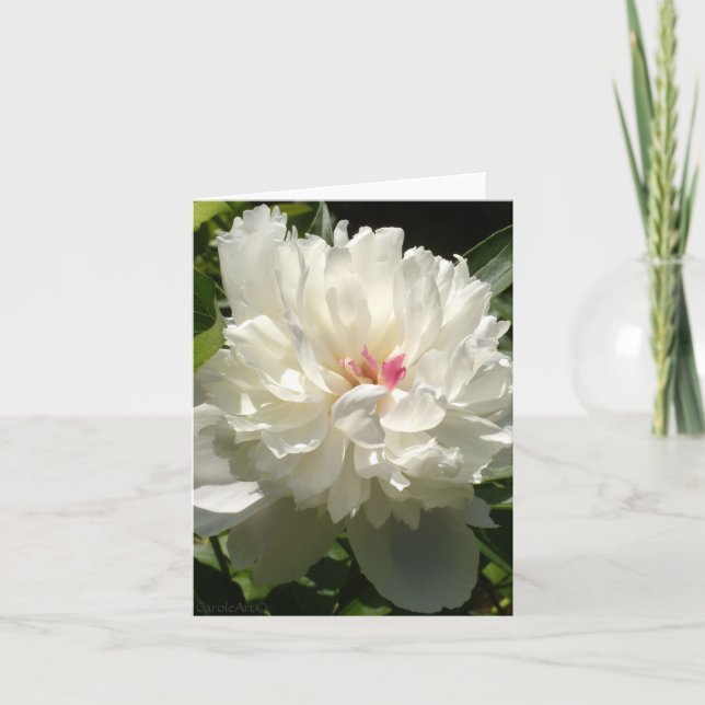 Tarjeta Peony Garden (Anverso)