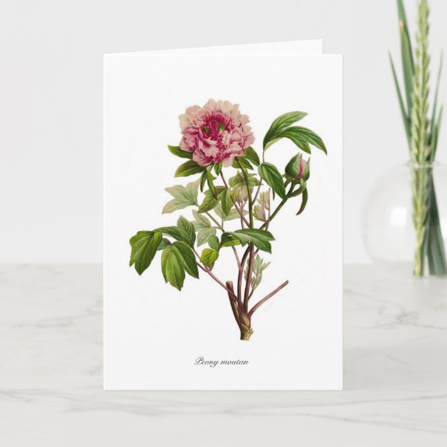 Tarjeta Peony moutan (Anverso)