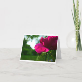 Tarjeta Peony Notecard en blanco