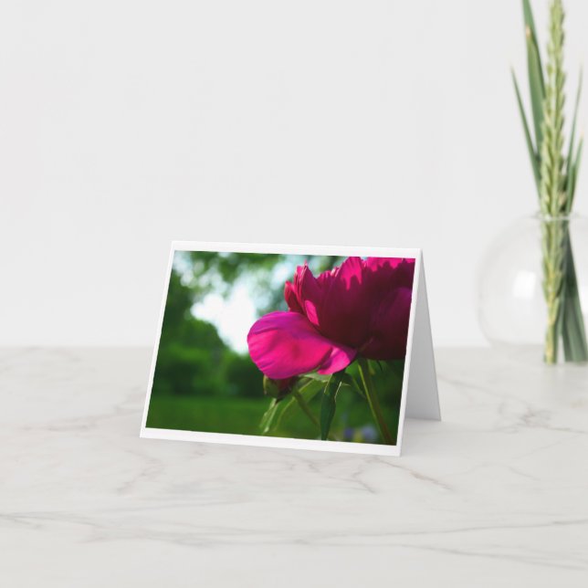 Tarjeta Peony Notecard en blanco (Anverso)