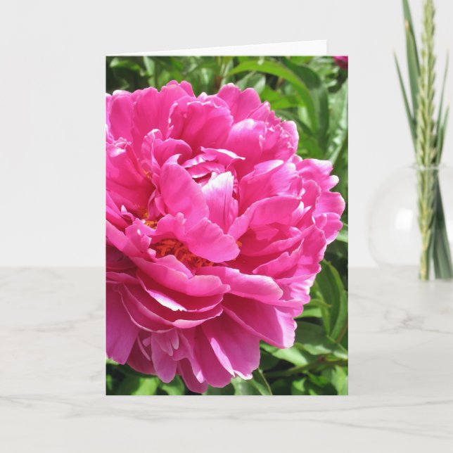 Tarjeta Peony Prácticamente Perfecto (Anverso)