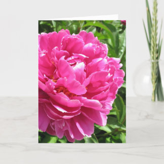 Tarjeta Peony Prácticamente Perfecto