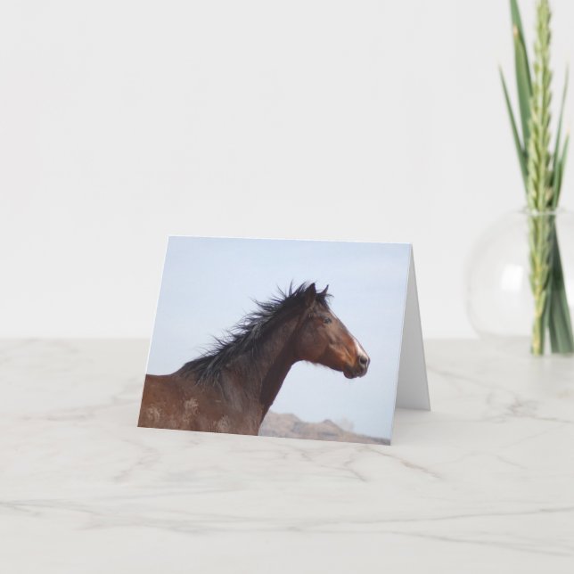 Tarjeta pequeña (Anverso)