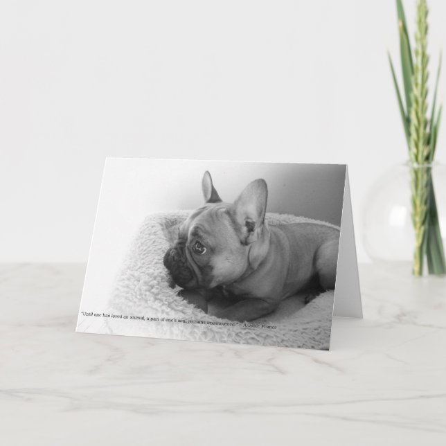 Tarjeta pequeña (Anverso)