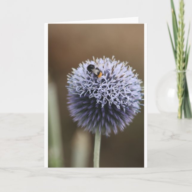 Tarjeta pequeña (Anverso)