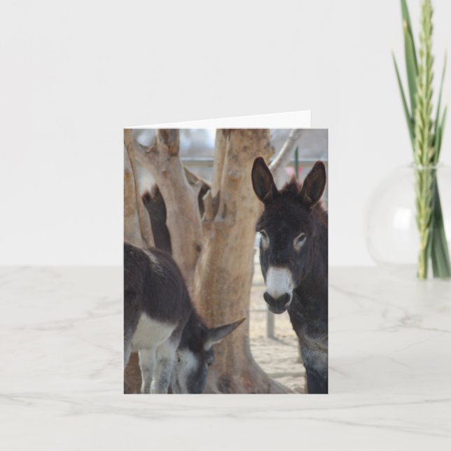 Tarjeta pequeña (Anverso)