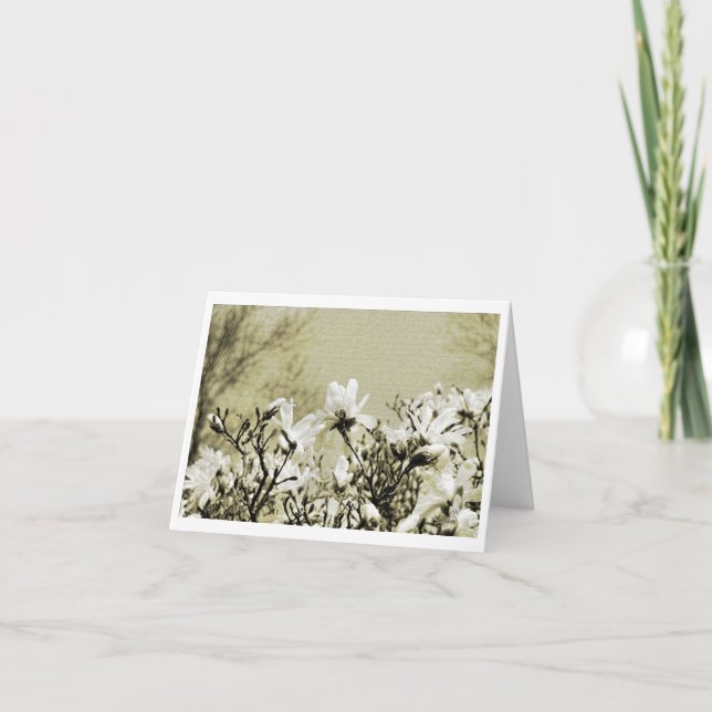 Tarjeta pequeña (Anverso)