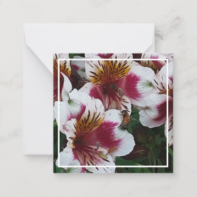 Tarjeta Pequeña Abeja de miel y alstromerias (Anverso)