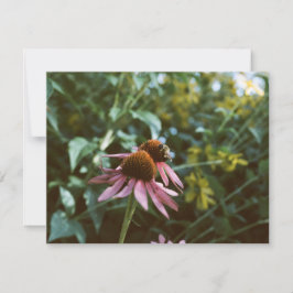Tarjeta Pequeña Abeja y Equinácea