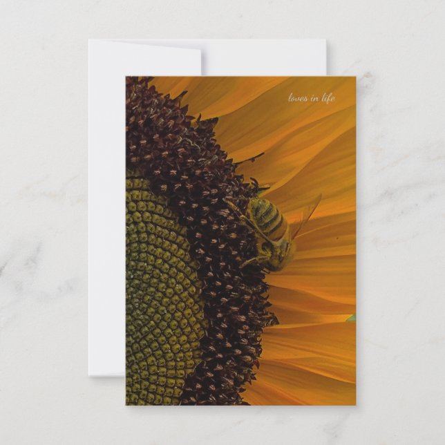 Tarjeta Pequeña Abeja y girasol arriba (Anverso)