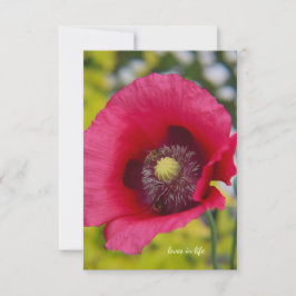 Tarjeta Pequeña Abejas y amapola