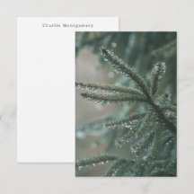 Abeto - nombre personalizado invierno estacional