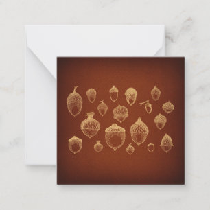 Tarjeta Pequeña Acorn Art Antiguo Acorns Vintage Ilustrado