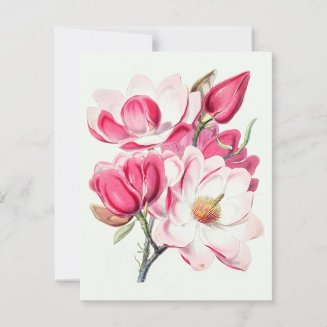 Tarjeta Pequeña Acuarela Flores de Magnolia Rosa Botánica (Anverso)