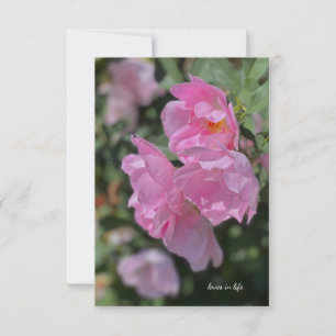Tarjeta Pequeña Agradables Rosas rosas livianos