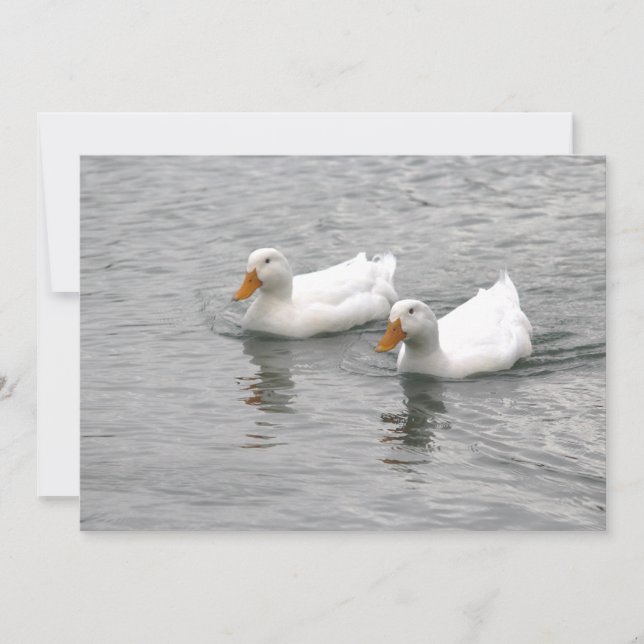 Tarjeta Pequeña Amigos (Anverso)