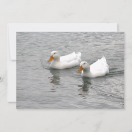 Tarjeta Pequeña Amigos