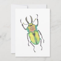 Amo Bug Rainbow Stag Beetle