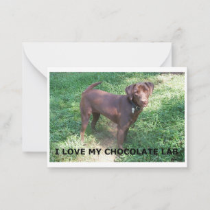 Tarjeta Pequeña Amo del laboratorio de chocolate LR con foto