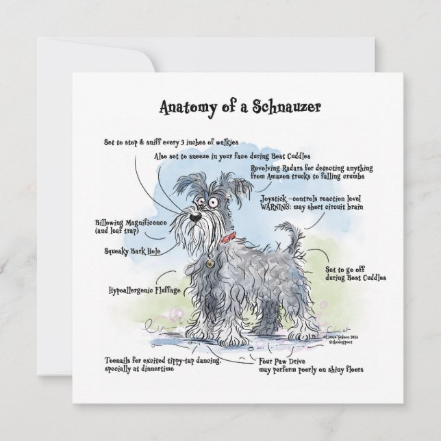 Tarjeta Pequeña Anatomía de un Schnauzer Funny Notecard (Anverso)