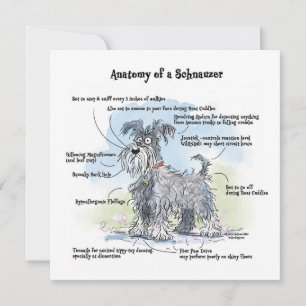 Tarjeta Pequeña Anatomía de un Schnauzer Funny Notecard