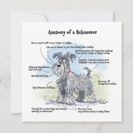 Tarjeta Pequeña Anatomía de un Schnauzer Funny Notecard