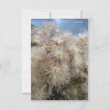 Apache Plume